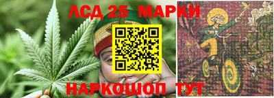 ешки Будённовск